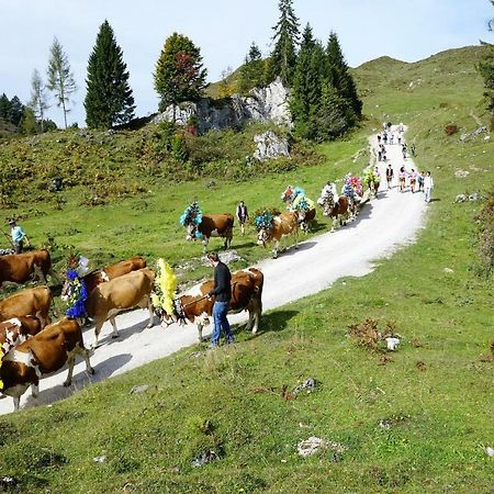 Ferienwohnung Julia Brixen im Thale Exteriér fotografie