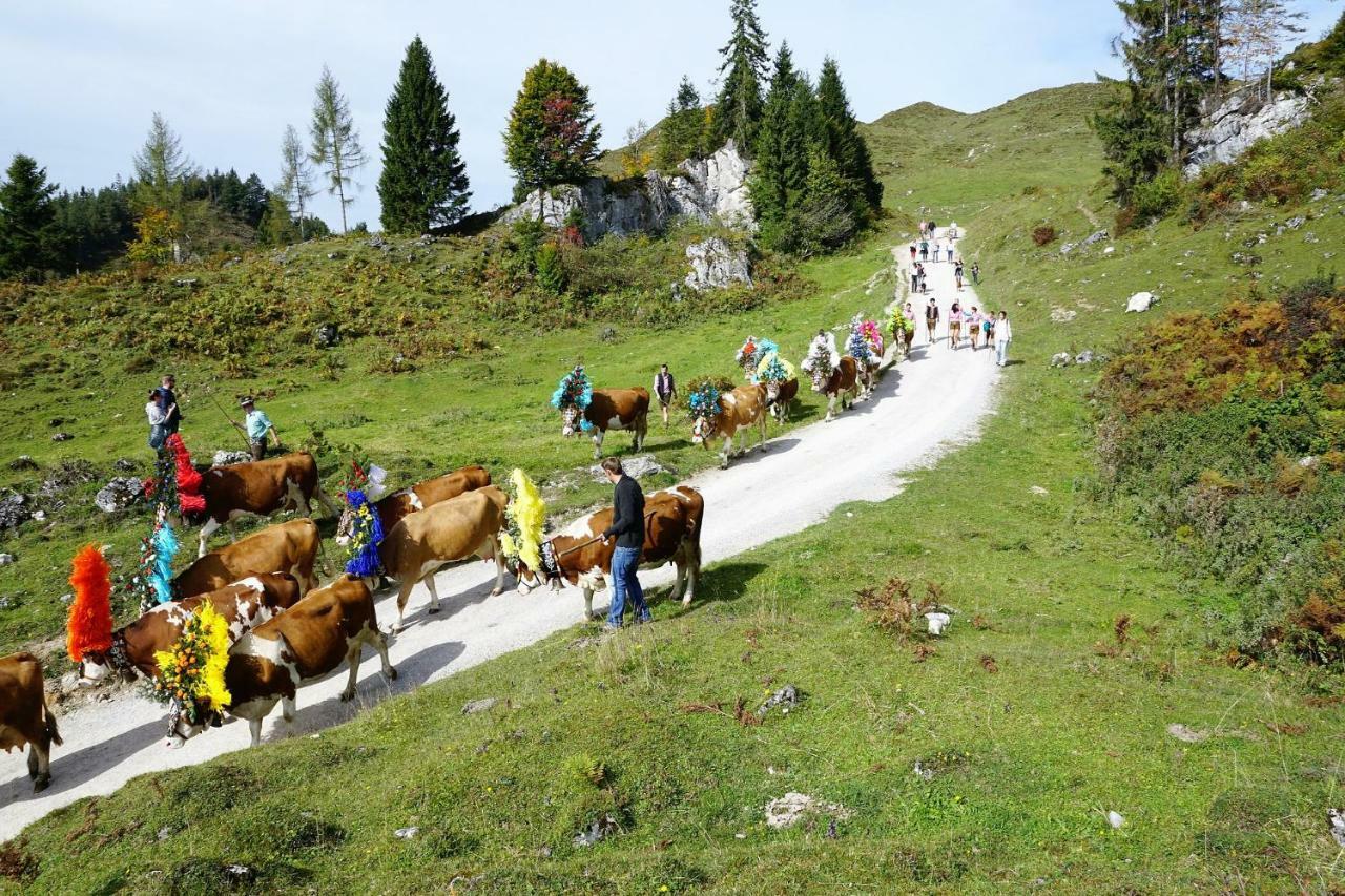 Ferienwohnung Julia Brixen im Thale Exteriér fotografie